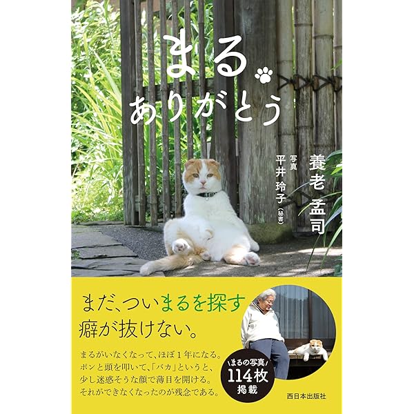 Amazon.co.jp: どスコい座り猫、まる。～養老孟司先生と猫の営業部長