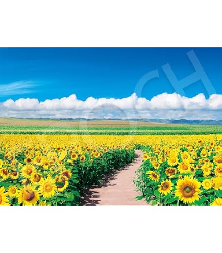 Amazon | エポック社 500ピース ジグソーパズル 青空に輝くヒマワリ畑