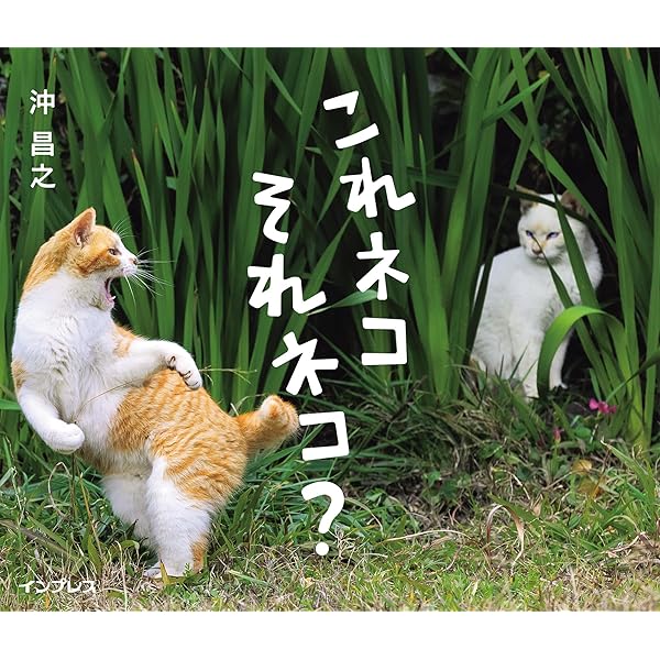 ぶさにゃん | 沖 昌之 |本 | 通販 | Amazon