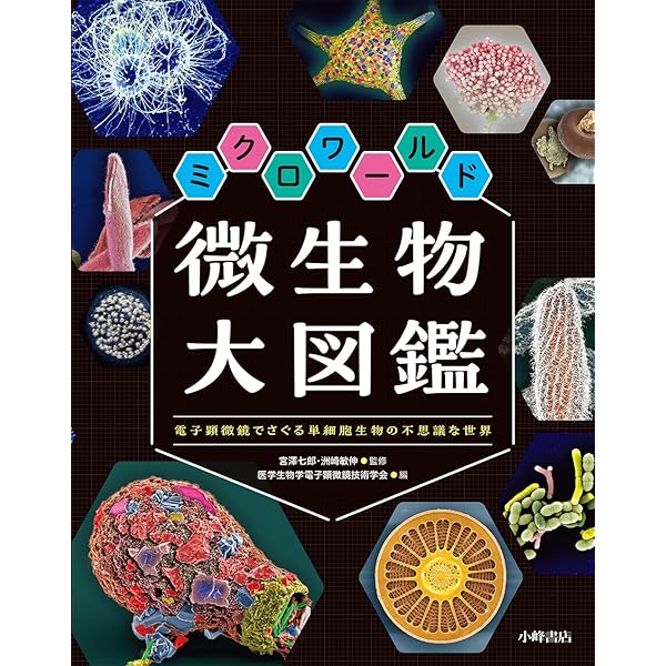 Amazon.co.jp: 淡水微生物図鑑: 原生生物ビジュアルガイドブック 日本