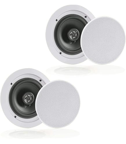 Amazon.co.jp: 天井埋込型スピーカー 111CL-III : 家電＆カメラ