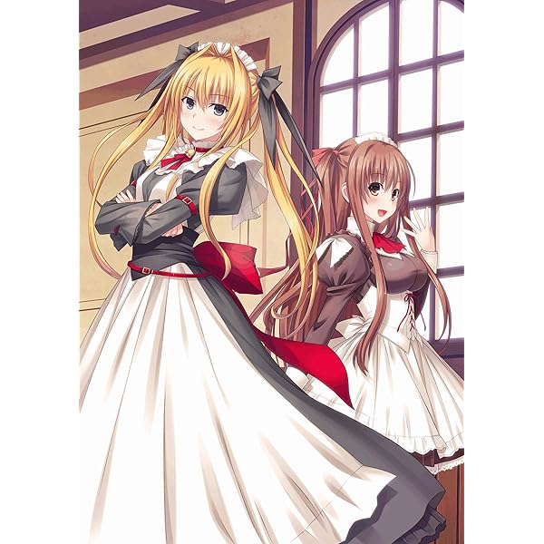 Amazon.co.jp: 執事が姫を選ぶとき 通常版 - PSVita : ゲーム