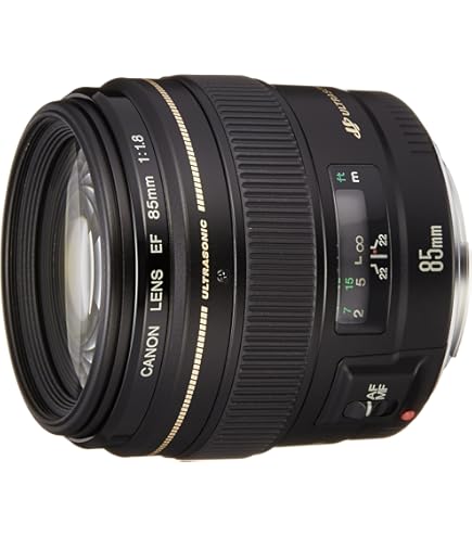 Amazon.co.jp: Canon 単焦点マクロレンズ EF100mm F2.8L マクロ IS USM