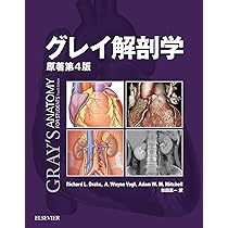 81REDdXacEL._AC_UL210_SR210,