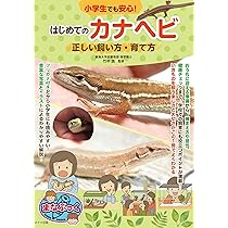 Amazon.co.jp: かなへび (かがくのとも絵本) : 竹中 践, 石森 愛彦: 本