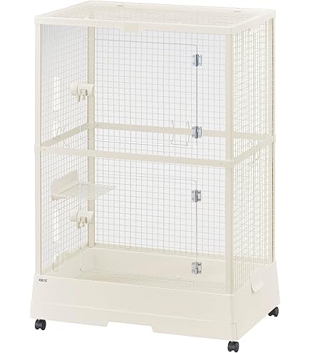 Amazon | 川井 コンフォート チンチラスペシャル STグレード チンチラ