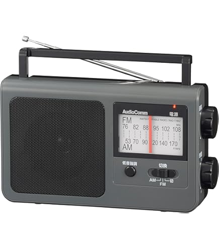 Amazon.co.jp: Sony ICF-800 FM/AM Portable Radio FM Radio : Electronics