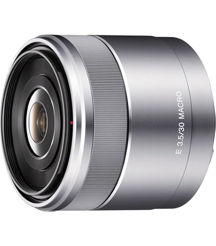 Amazon.co.jp: SONY 単焦点マクロレンズ DT 30mm F2.8 Macro SAM APS-C