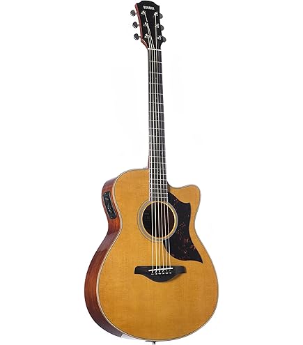 Amazon | Takamine PTU121C FCB エレアコ タカミネ アコースティック