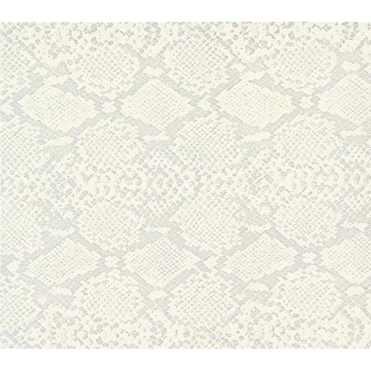 Amazon.co.jp: 国境線上の蟻: ミュージック