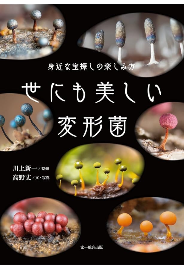 粘菌: 驚くべき生命力の謎 | 松本 淳, 伊沢 正名 |本 | 通販 | Amazon
