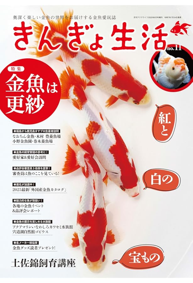 金魚QA100 | 川澄 太一 |本 | 通販 | Amazon