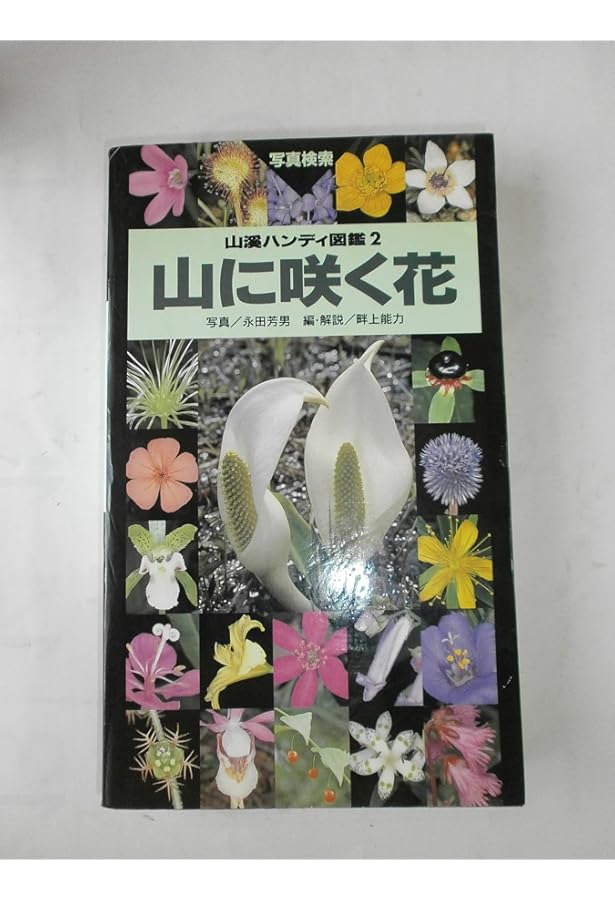野に咲く花 (山渓ハンディ図鑑) (山溪ハンディ図鑑 1) | 平野 隆久