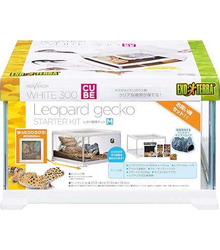 Amazon | GEX EXOTERRA フトアゴヒゲトカゲ&リクガメ飼育キットBK