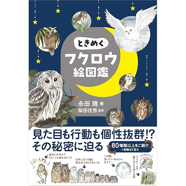 Amazon.co.jp: もふもふフクロウ ガルーさんの休日 電子書籍: げんさん