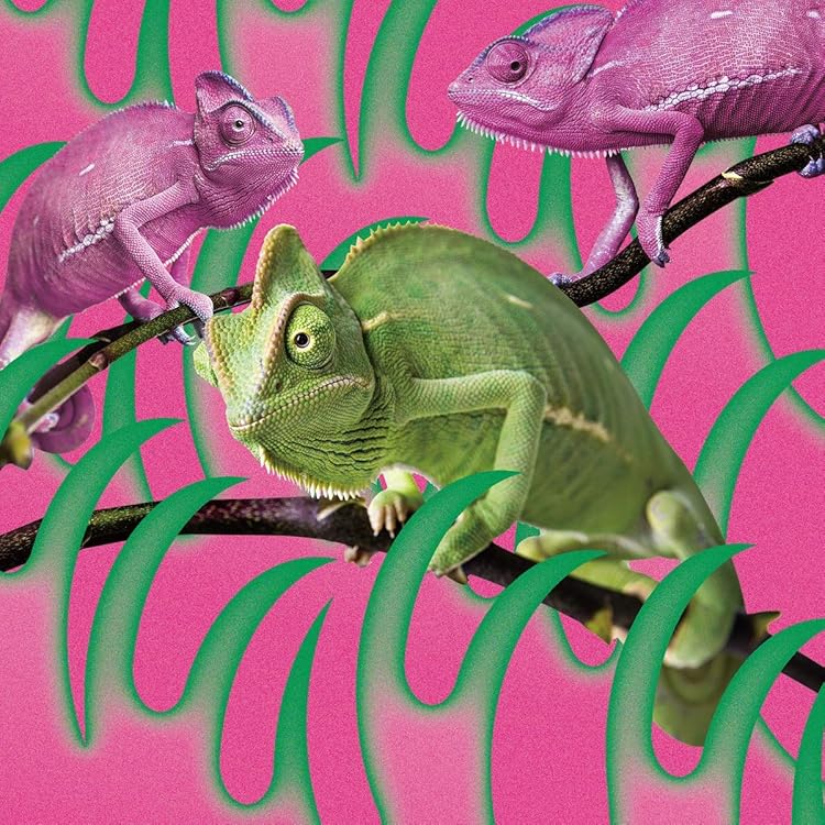 Amazon.co.jp: 赤飯(初回生産限定スペシャルプライス盤・~熱唱祭り盤