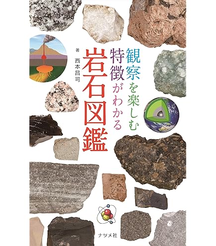 Amazon.co.jp: 岩石標本（岩石・造岩鉱物標本22種） /3-657-09 : おもちゃ