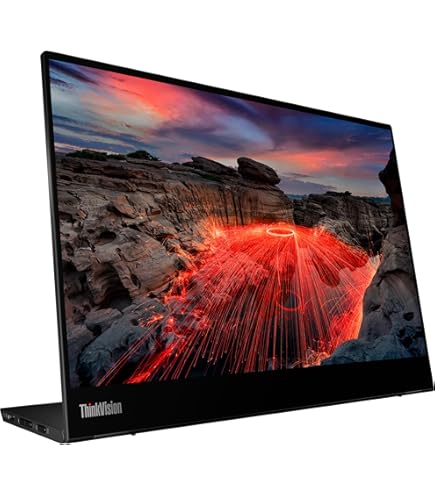 Amazon.co.jp: Lenovo 62A3UAR1JP ThinkVision M14t (14 Type) FHD