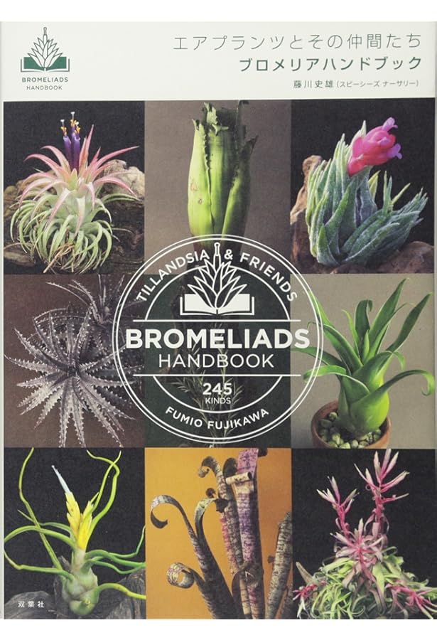 藤川史雄のティランジアブック エアプランツ100種の育て方 | 藤川 史雄