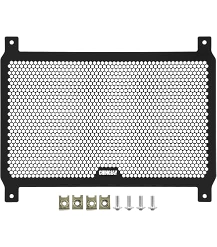 Amazon | モリワキ(MORIWAKI) ラジエーターコアガード シルバー Z900RS