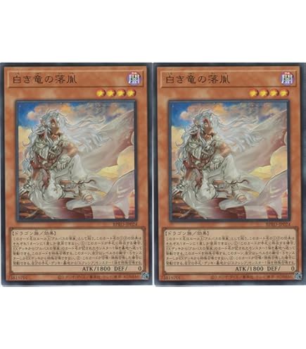 Amazon.co.jp: 遊戯王カード BPRO-JP041 黒き竜のエクレシア