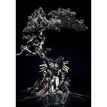 Amazon.co.jp: the GazettE LIVE TOUR 15-16 DOGMATIC FINAL -漆黒