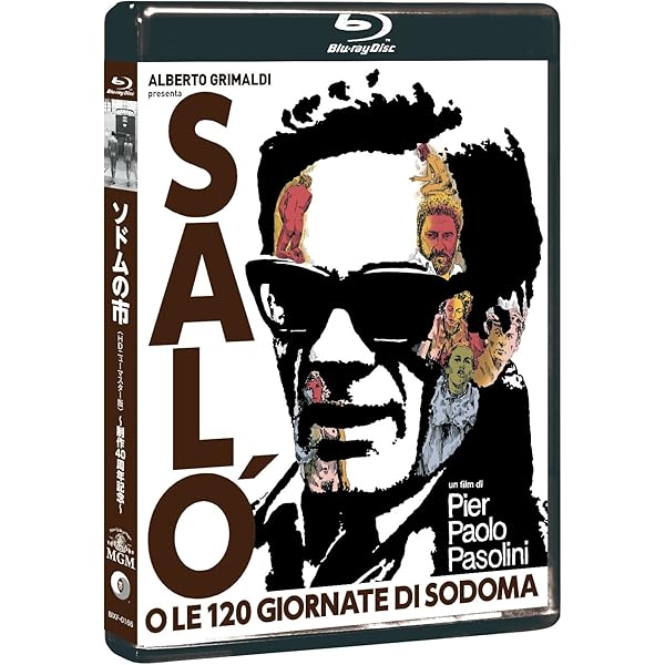 Amazon.co.jp: バイオレンス・レイク [レンタル落ち] [DVD] : DVD