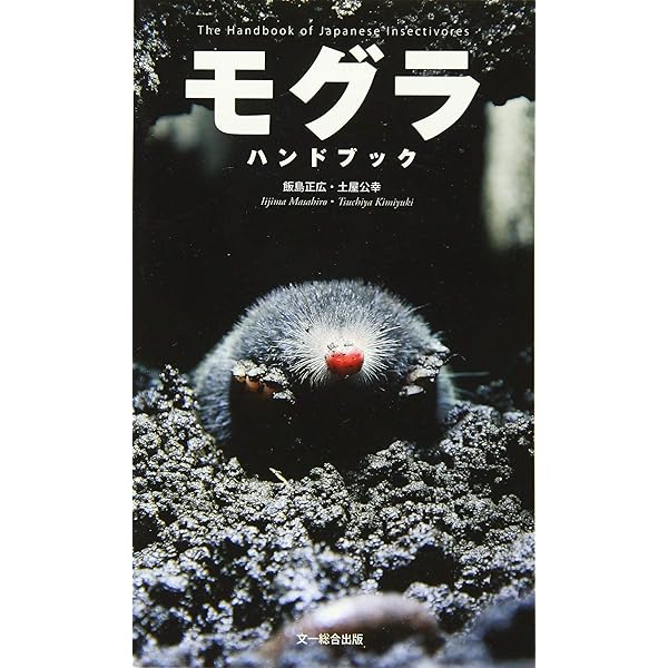 Amazon.co.jp: コウモリ識別ハンドブック 改訂版 : コウモリの会, 佐野