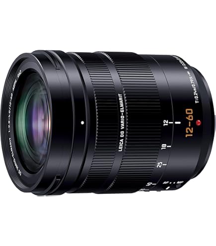 Amazon.co.jp: パナソニック 望遠ズームレンズ フォーサーズ用 ライカ