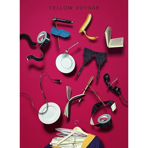 Amazon.co.jp: STRANGER IN BUDOKAN (初回限定盤) [DVD] : 星野源: DVD