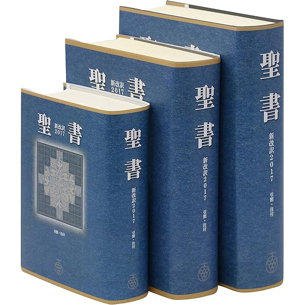 聖書 新改訳2017 聖書地図 ［大型版］ （いのちのことば社） | 新日本