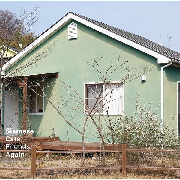 Amazon.co.jp: Virgin Graffiti: ミュージック