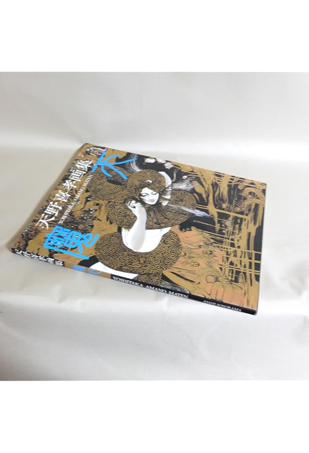 Amazon.co.jp: 喜天: 天野喜孝画集 : 天野 喜孝: 本