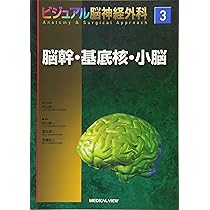 側頭葉・後頭葉 (ビジュアル脳神経外科 Anatomy & Surgical Approach 2
