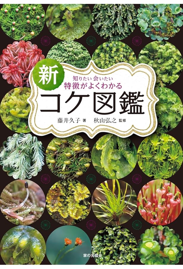 Amazon.co.jp: 日本の野生植物 コケ : 岩月 善之助: 本