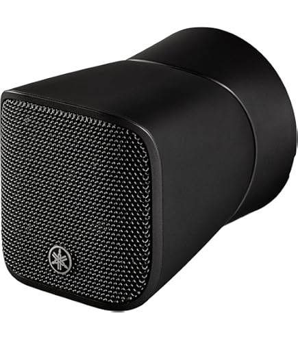 Amazon.co.jp: パナソニック WS-TS135 12cm防滴露出形天井スピーカー