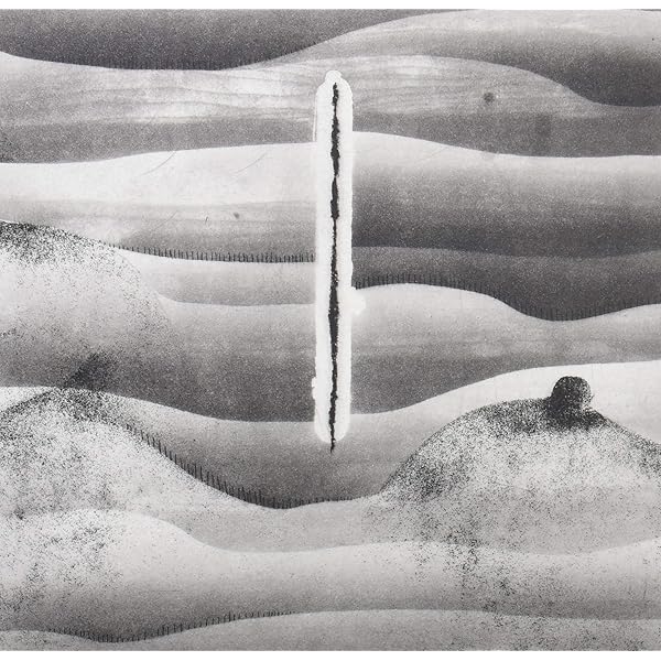 Amazon.co.jp: 夢中夢 -Dream In Dream-(Vinyl) - Cornelius [Analog