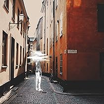 91ldxzF9x5L._AC_UL210_SR210,