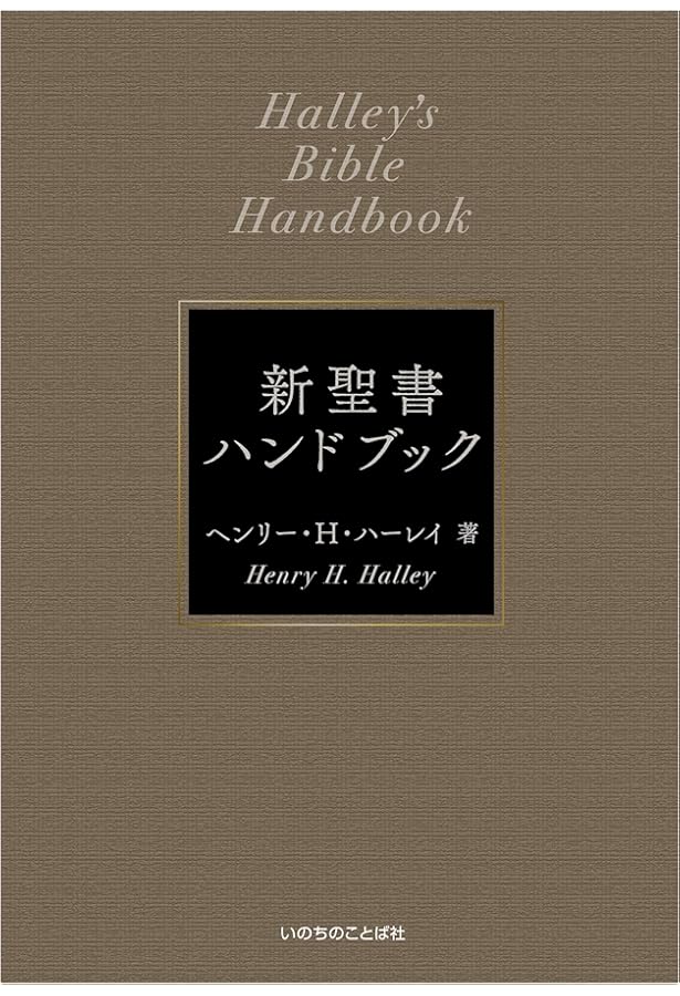 BIBLEnavi 聖書 新改訳2017 解説・適用付 (いのちのことば社) | いのち