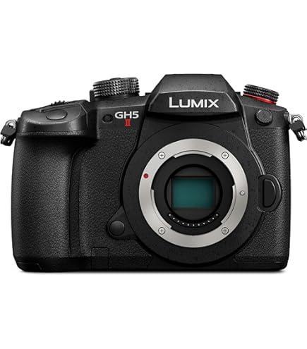 Amazon | パナソニック ミラーレス一眼カメラ LUMIX G3 レンズキット