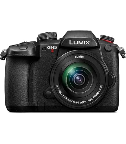 Amazon | パナソニック ミラーレス一眼カメラ ルミックス GH4 レンズ