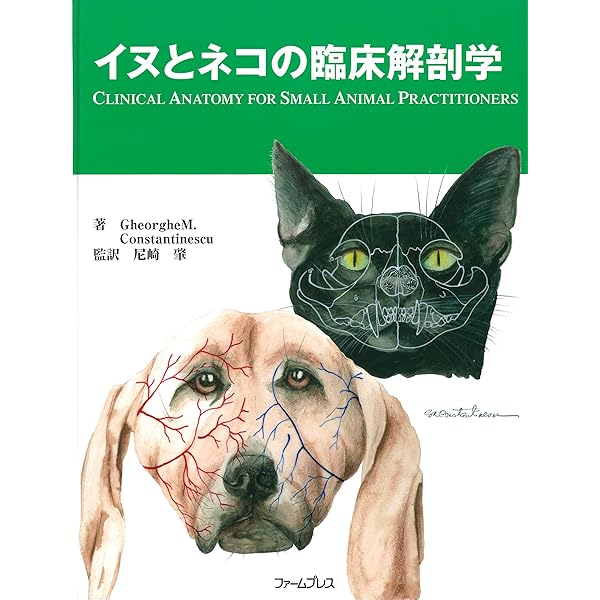 Amazon.co.jp: ベテリナリ-・アナトミ-: 犬と猫の解剖カラ-アトラス