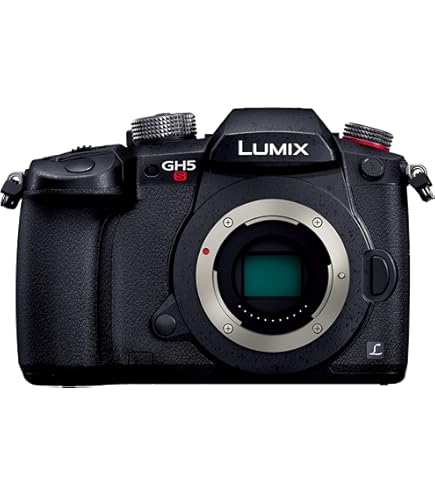 Amazon | パナソニック デジタル一眼カメラ ルミックス GH2 レンズ