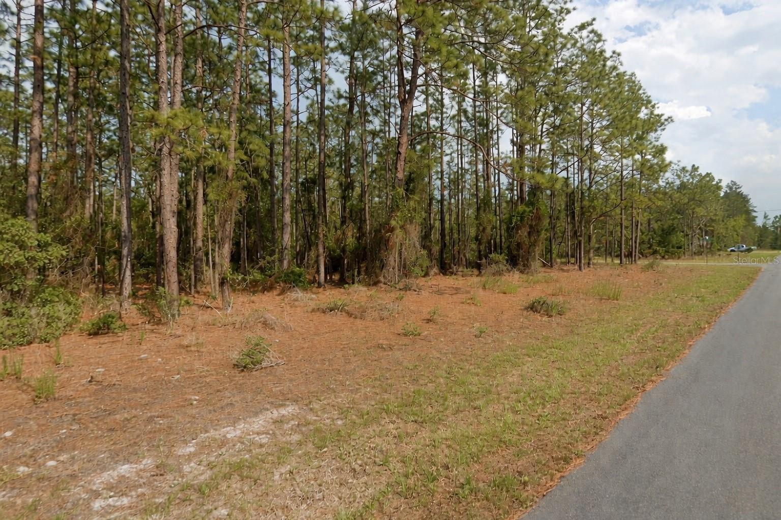 11033 N Trigger Terrace, Citrus Springs, FL 34433 - MLS# A4683315