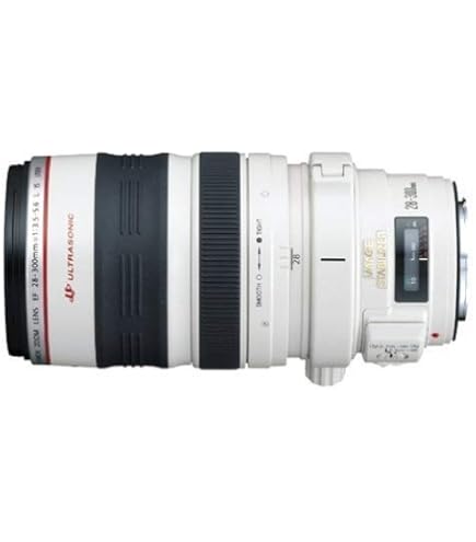 Amazon.com : Canon EF 28-300mm f/3.5-5.6L is USM Lens Black