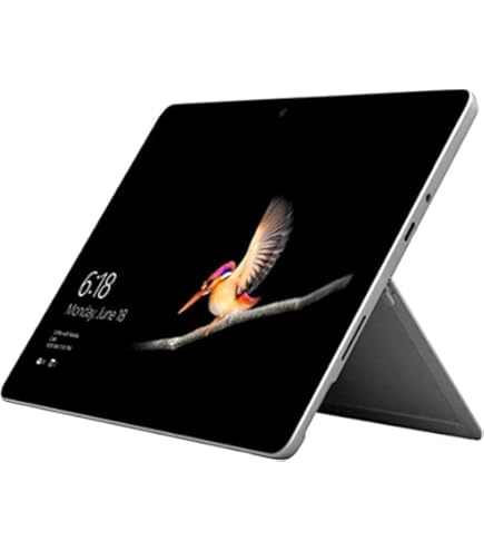 Amazon.com: Microsoft Surface Go (Intel Pentium Gold, 8GB RAM