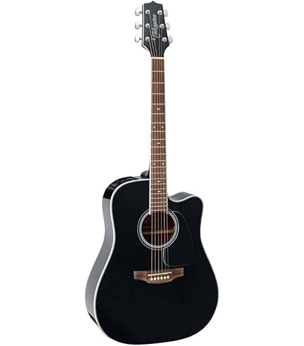 Amazon.com: Takamine Pro Series EF508KC NEX All Koa Acoustic