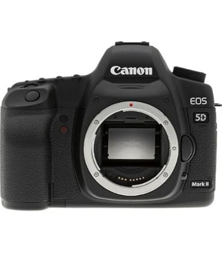 Amazon.com : Canon EOS 6D Mark II Digital SLR Camera Body (Renewed