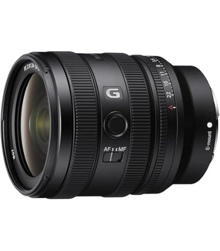 Amazon.com : Sony - FE 24-105mm F4 G OSS Standard Zoom Lens