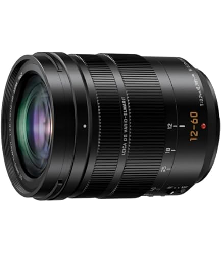 Amazon.com : Panasonic Leica DG Vario-Elmarit 8-18mm f/2.8-4 ASPH
